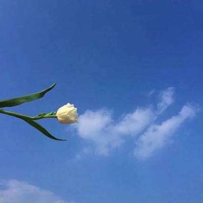 死亡奔跑破解版下载