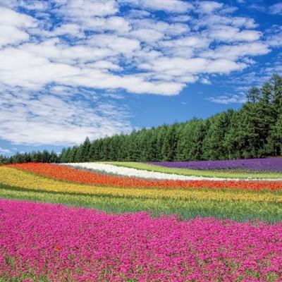 异世修仙官方版