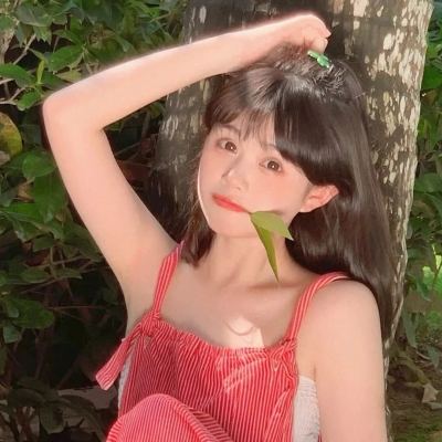 仙盟契约偶玩版下载